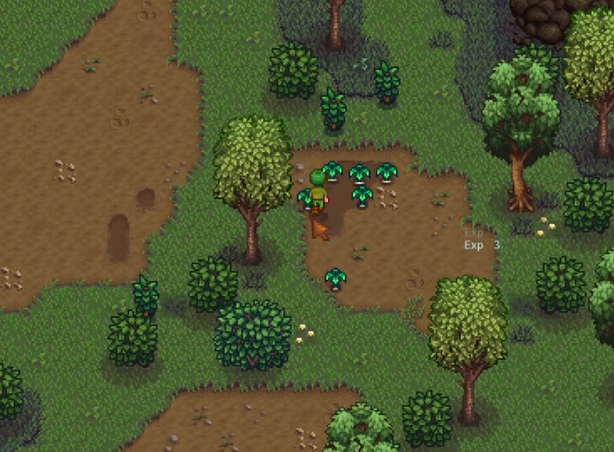 星露谷物语枫糖浆在哪里获得