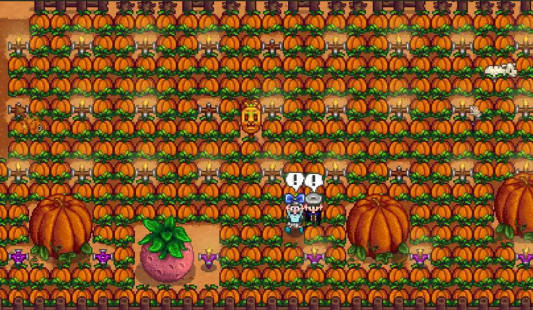 星露谷物语第一年秋天干什么