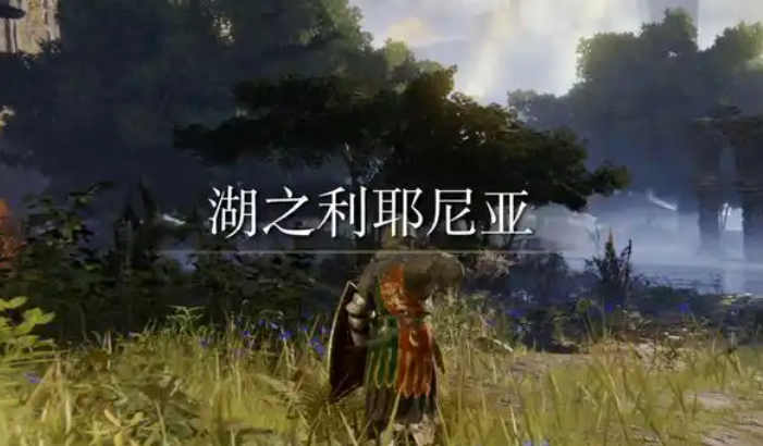 艾尔登法环练级有什么推荐