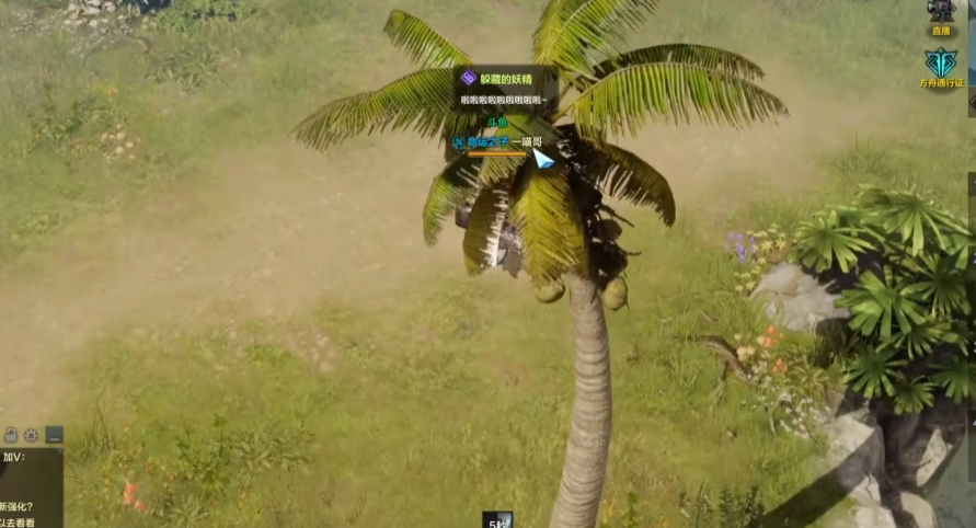 失落的方舟妖精唱歌的森林任务怎么做