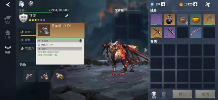 冰原守卫者巨龙装备能升级吗